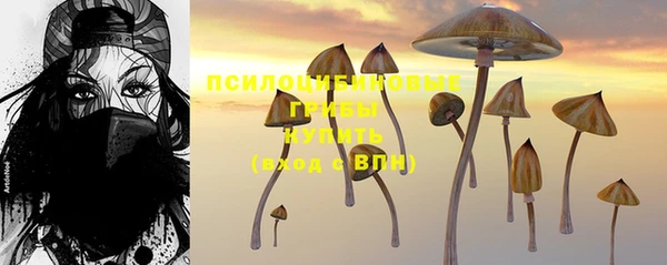 круглые Алзамай